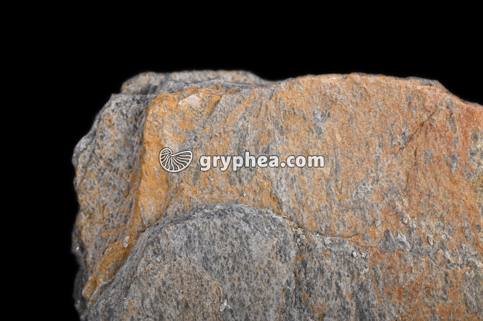 Schiste lustré - détail (Col Agnel, Alpes) - gryphea.com